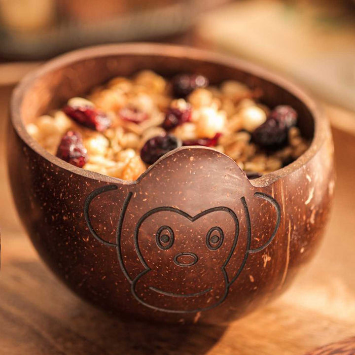 Eco-Friendly Handmade Monkey Theme Coconut Shell Bowl For Kids