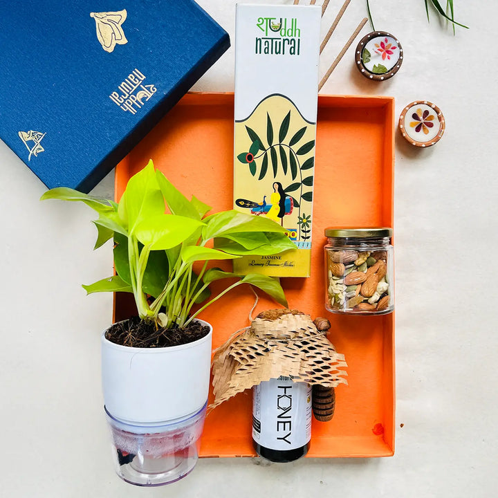 Eco-friendly Diwali Gift Hamper | Includes 1 Self-watering Money Plant, 1 Honey Jar, 1 Dry Fruits Jar, 1 Incense Pack, 1 Festive Card