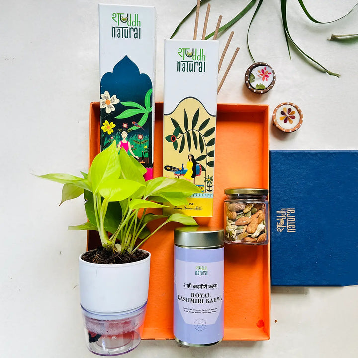 Eco-friendly Diwali Gift Hamper | Includes 1 Self-watering Money Plant, 2 Incense Packs, 1 Floral Tea, 1 Dry Fruits Jar, 1 Festive Card