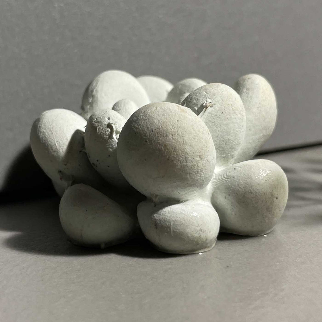 Handmade Abundance Concrete Gift Hamper | Includes 1 Fluid Trinket, 1 Octa Candle Holder, 1 Large Ganesha, 1 Mini Fluted Vase, 2 Concrete Succulents