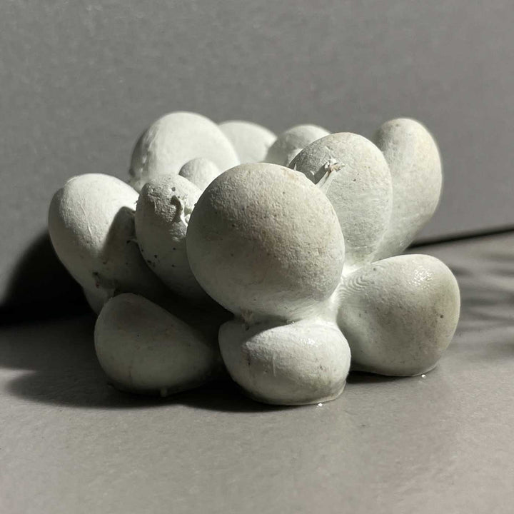 Handmade Abundance Concrete Gift Hamper | Includes 1 Fluid Trinket, 1 Octa Candle Holder, 1 Large Ganesha, 1 Mini Fluted Vase, 2 Concrete Succulents