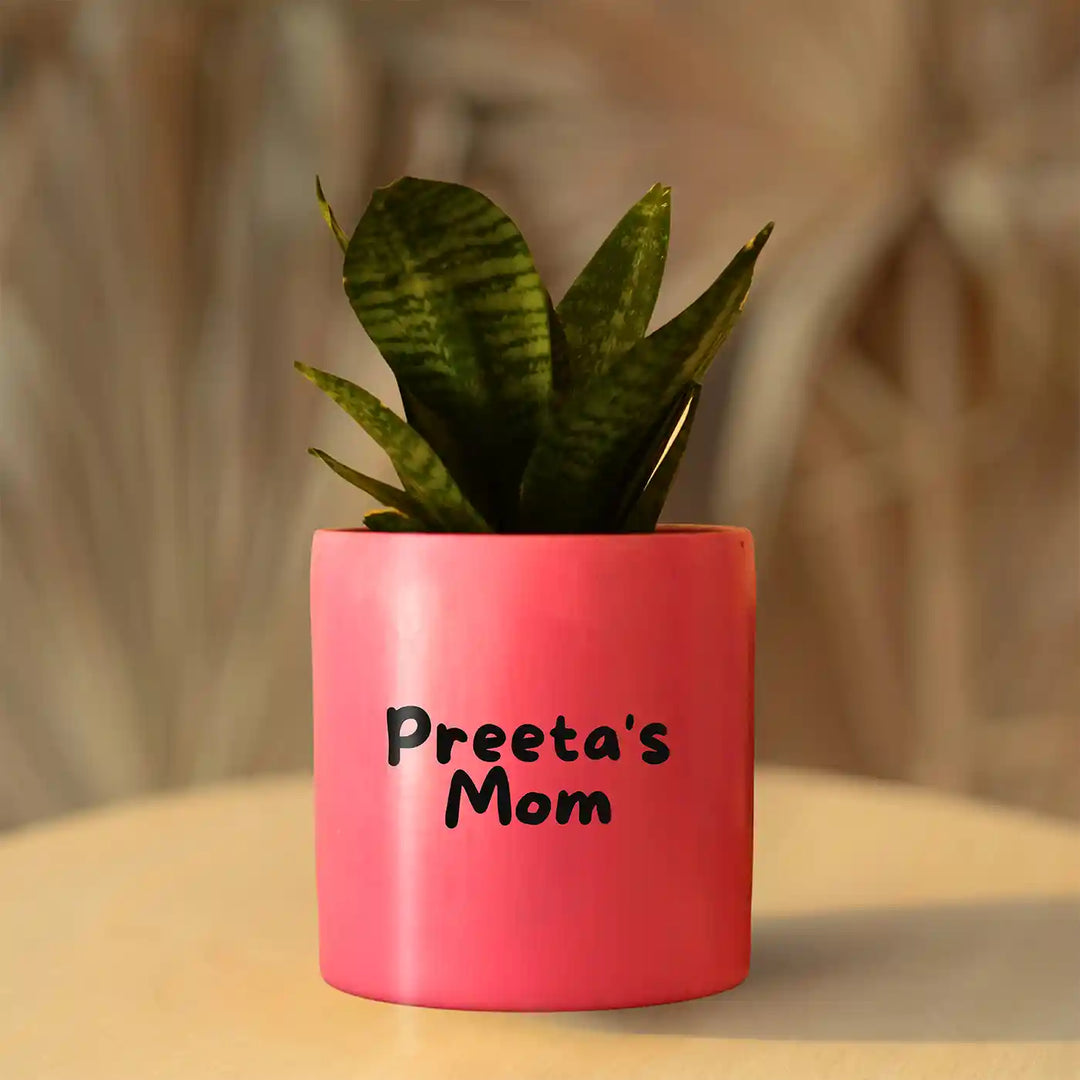 Personalized Hand-Painted Mom Theme Terracotta Planter