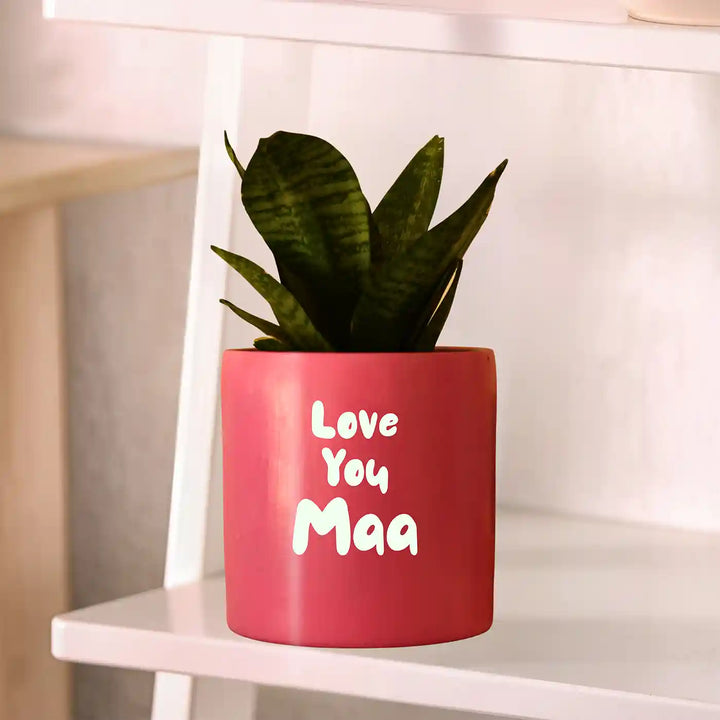 Customized Hand-Painted Love You Maa Theme Terracotta Planter
