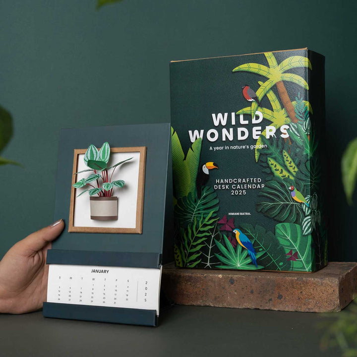 Handmade 3D Watermelon Peperomia Plant 2025 Desk Calendar