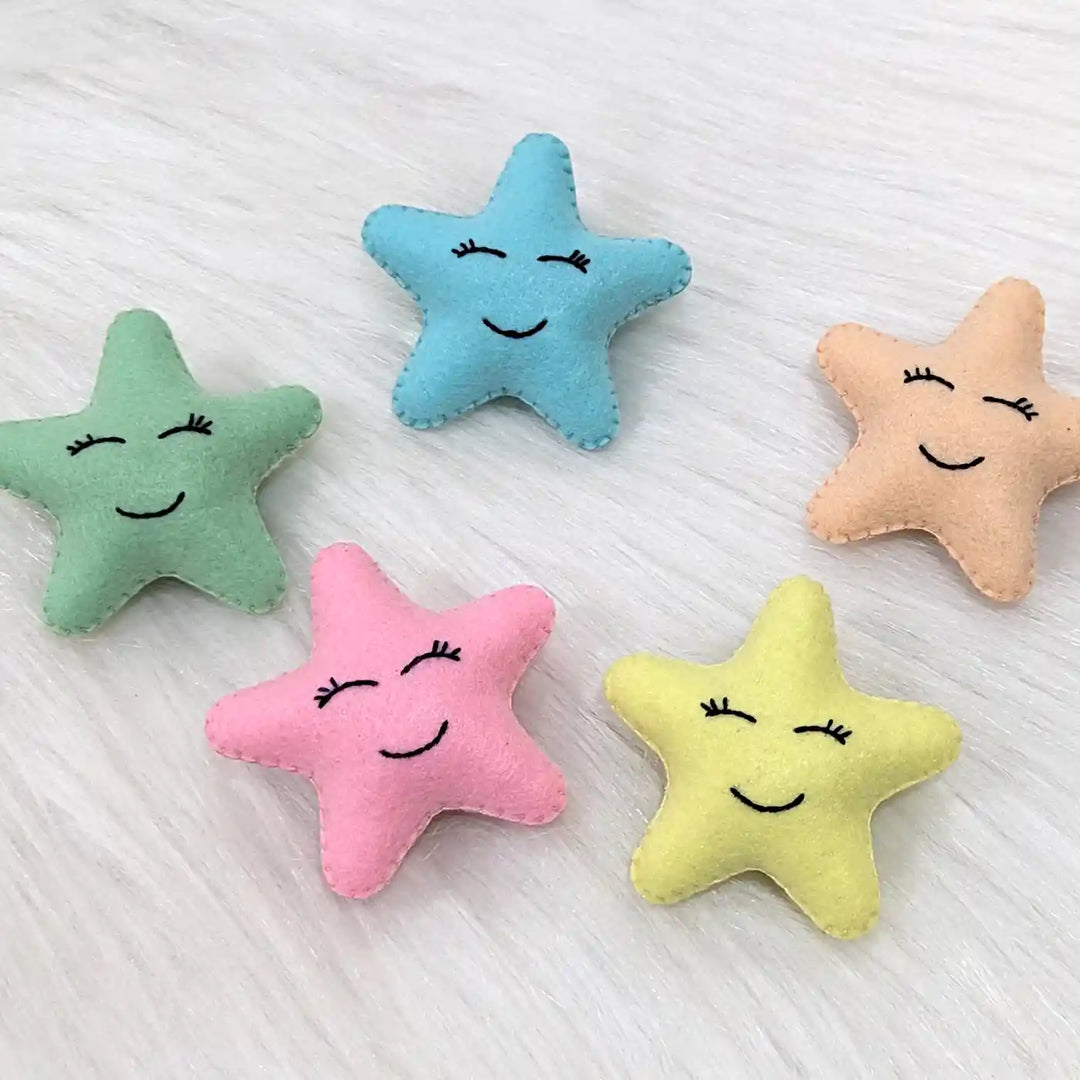 Handmade Pastel Star Theme Felt Brooches | Set Of 5