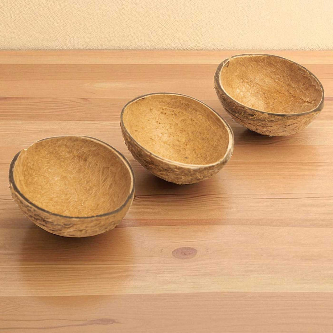 Eco-Friendly Handmade Oval Raw Coconut Shell Bowl | Set Of 15