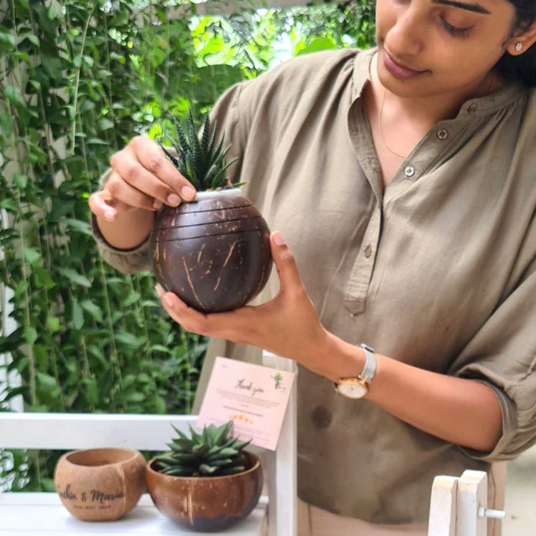 coconut husk plant pots Buy Eco-Friendly Handmade Three Line Coconut Shell Planter Pot Online On Zwende