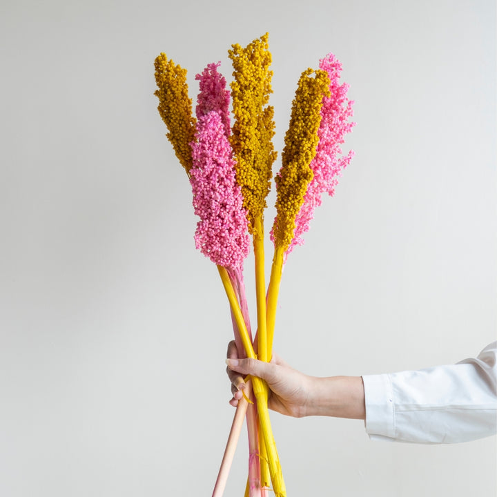 Handmade Colourful Corn Stem Dried Flower Bunch