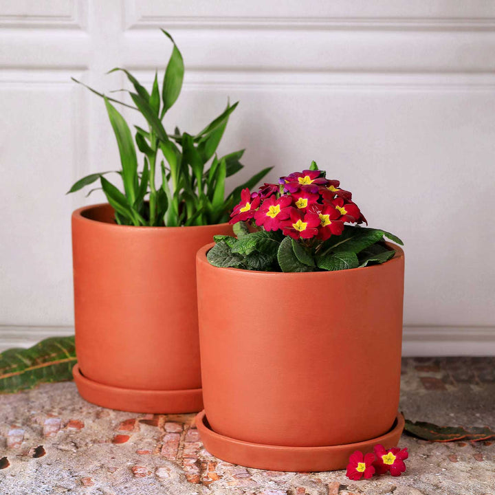 8 Inches | Handmade Autumn 8 Inch Terracotta Planter Pots | Set Of 2
