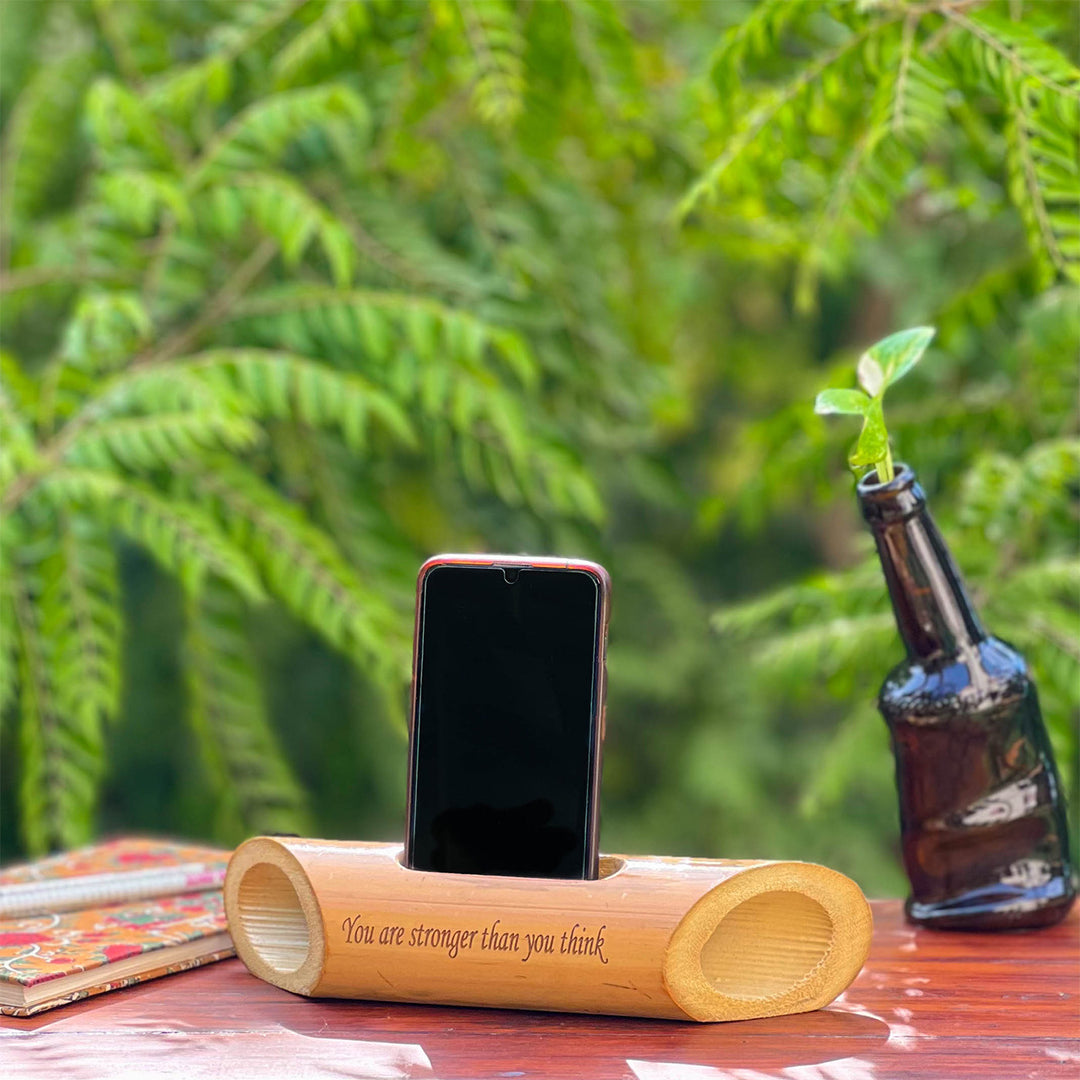 Plantable Akkad-Bakkad Seed Rakhi Gift Hamper With Wooden Planter & Bamboo Sound Amplifier For Brother | Set of 2