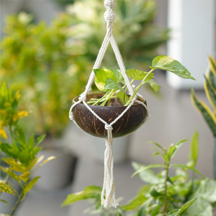 Handmade Prakriti Gift Hamper | Includes Coconut Shell Hanging Planter, Seed Jars, Seed Crackes, Cocopeat, Swastik Door Hanging, Cracker Instruction Card, Seed Card And Outer Box