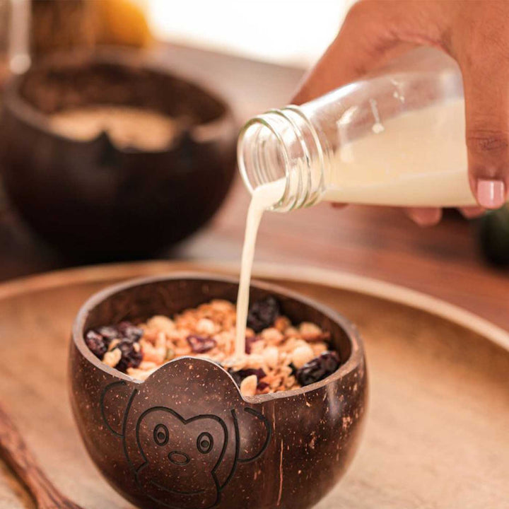 Eco-Friendly Handmade Monkey Theme Coconut Shell Bowl For Kids