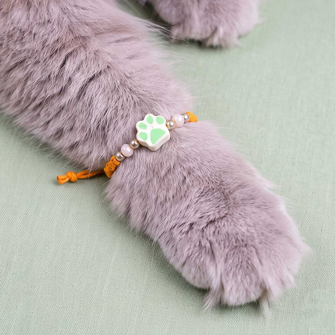 Handmade Paw Kids Rakhi With Roli Chawal
