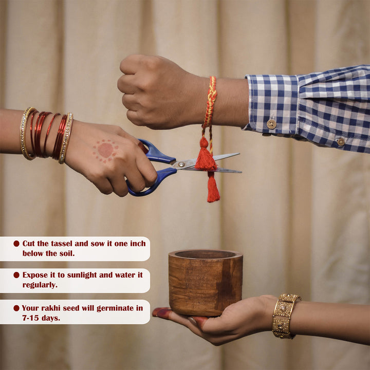 Plantable Anant Sutra Rakhi With Tulsi Seed Mud Ball, Roli-Chawal & Greeting Card For Brother