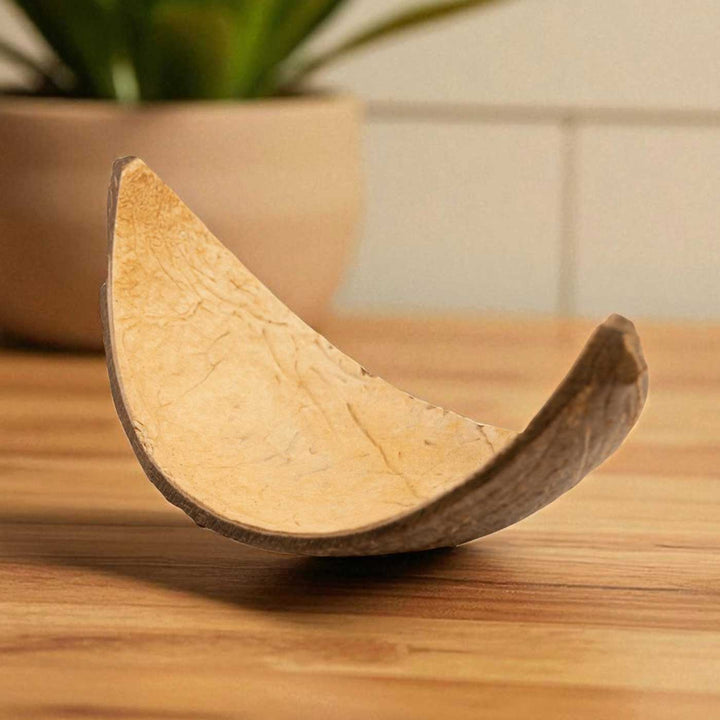 Eco-Friendly Handmade Boat Shaped Coconut Shell Platter | Set Of 10