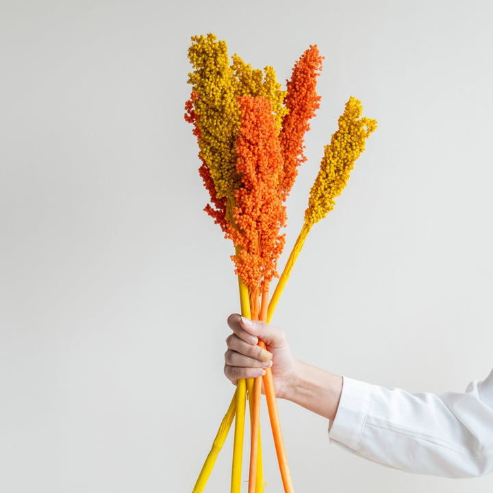 Handmade Colourful Corn Stem Dried Flower Bunch
