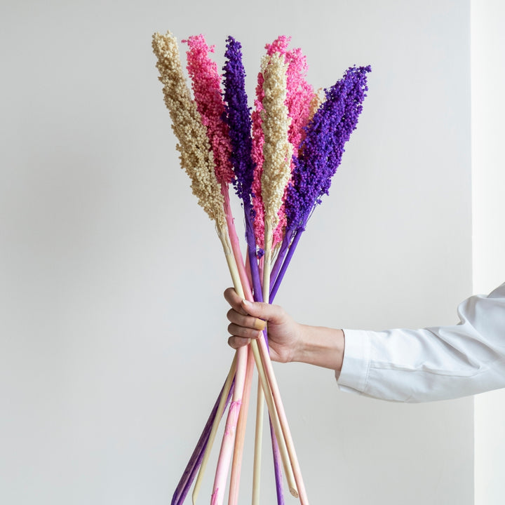 Handmade Colourful Corn Stem Dried Flower Bunch