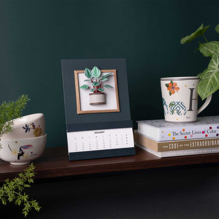 Handmade 3D Watermelon Peperomia Plant 2025 Desk Calendar