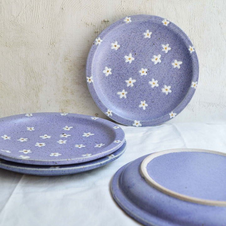 Handmade Ceramic Dinner Plates - Set of 2