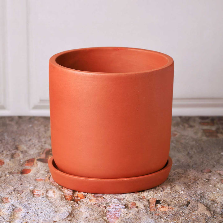 6 Inches | Handmade Autumn Terracotta Planter Pots | Set Of 3