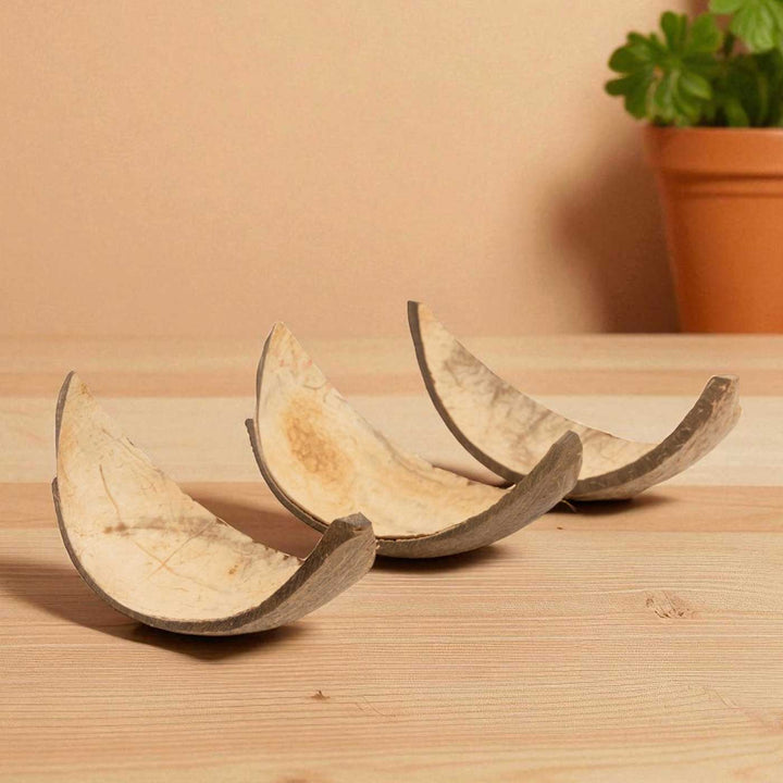 Eco-Friendly Handmade Boat Shaped Coconut Shell Platter | Set Of 10