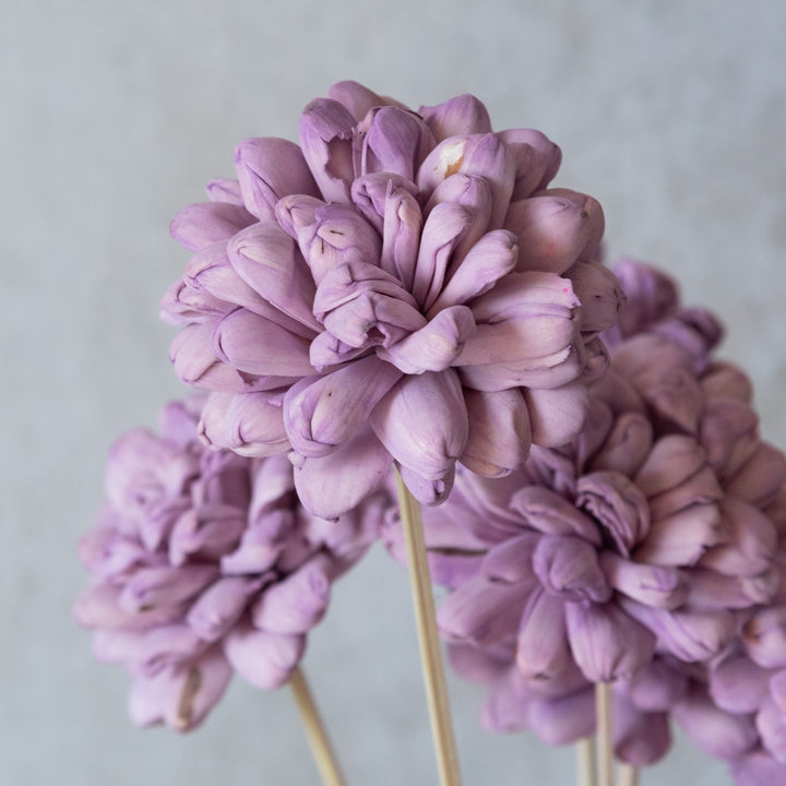 Handmade Lilac Sola Wood Dried Flower Bunch | Set Of 10