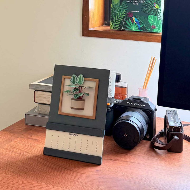 Handmade 3D Watermelon Peperomia Plant 2025 Desk Calendar