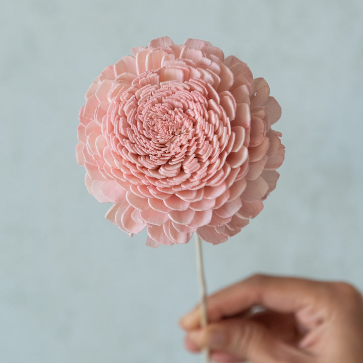 Handmade Blush Pink Sola Wood Dried Flower Bunch | Set Of 10