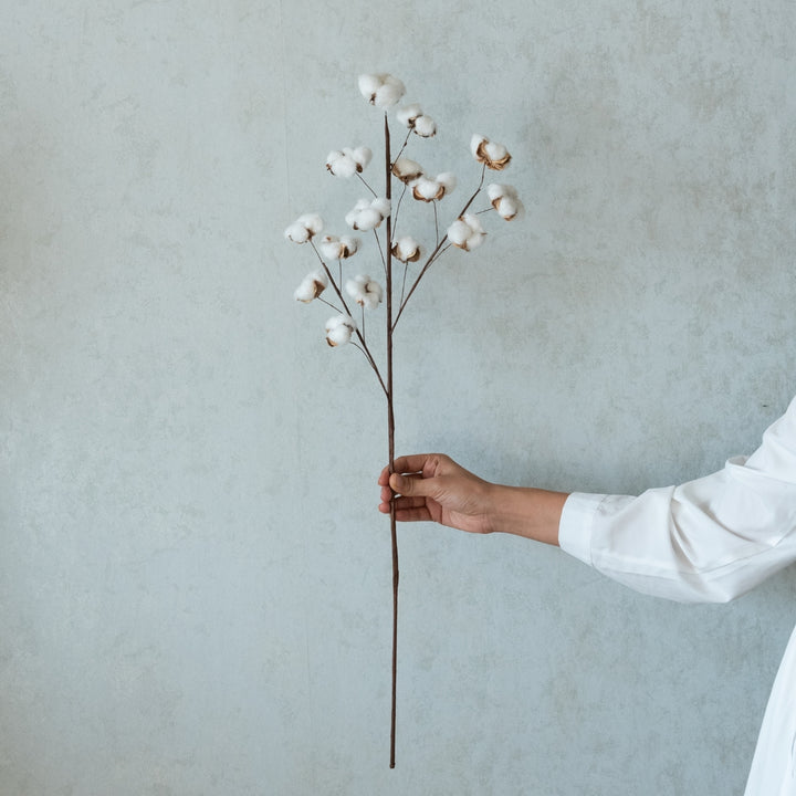 Handmade Cotton Branch Dried Flower Bunch | Set Of 5