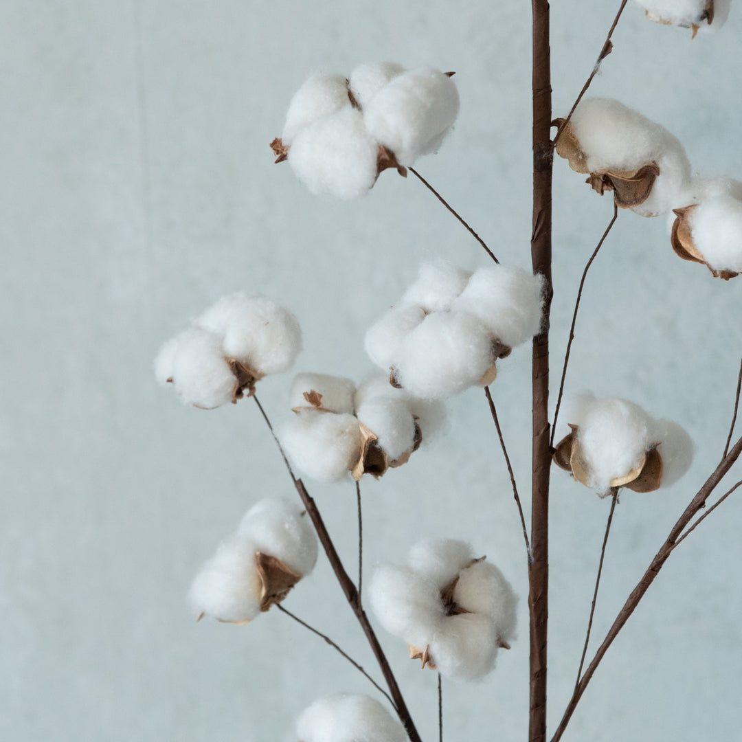 Handmade Cotton Branch Dried Flower Bunch | Set Of 5