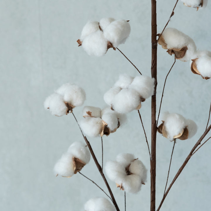 Handmade Cotton Branch Dried Flower Bunch | Set Of 5