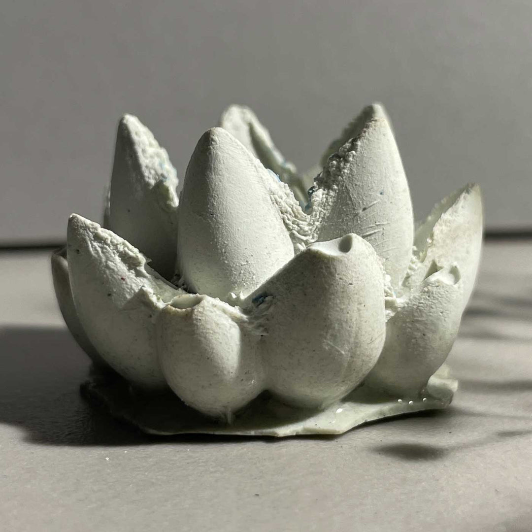 Handmade Radiance Concrete Gift Hamper | Includes 1 Urli, 1 Flower Candle Holder, 4 Succulent