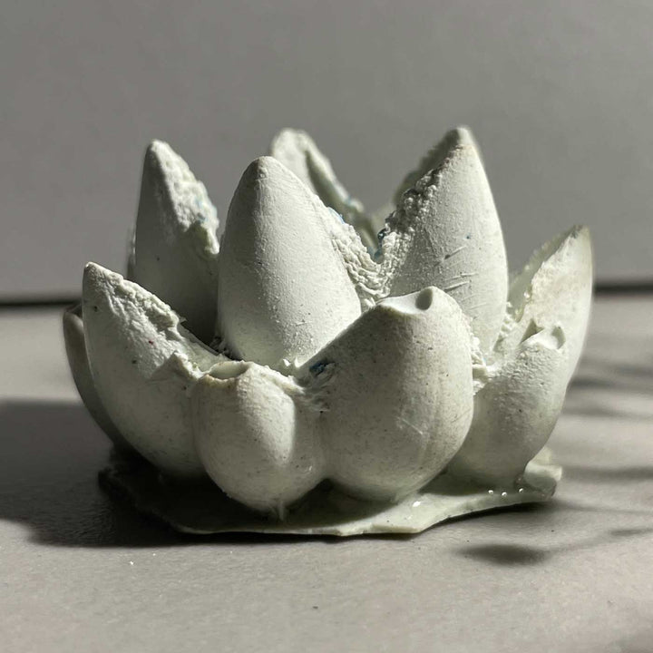 Handmade Radiance Concrete Gift Hamper | Includes 1 Urli, 1 Flower Candle Holder, 4 Succulent