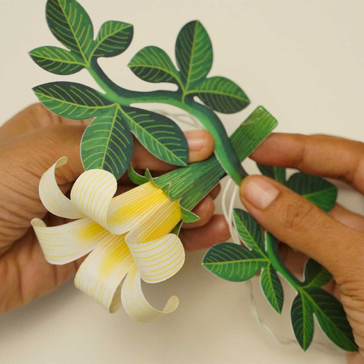 Handmade White Flower Design Fairy Light