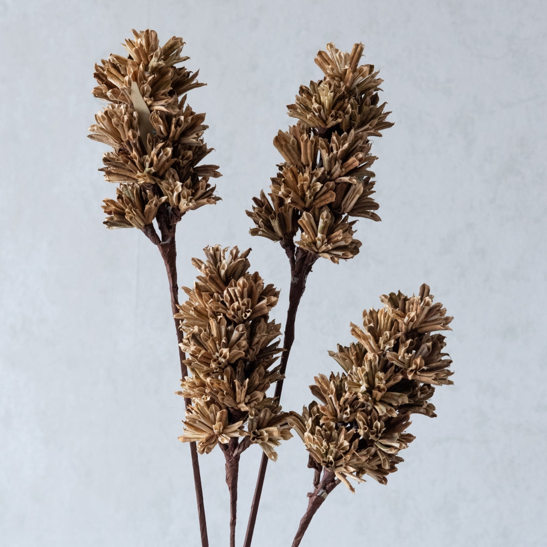 Handmade Brown Artichoke Dried Flower Bunch | Set Of 5
