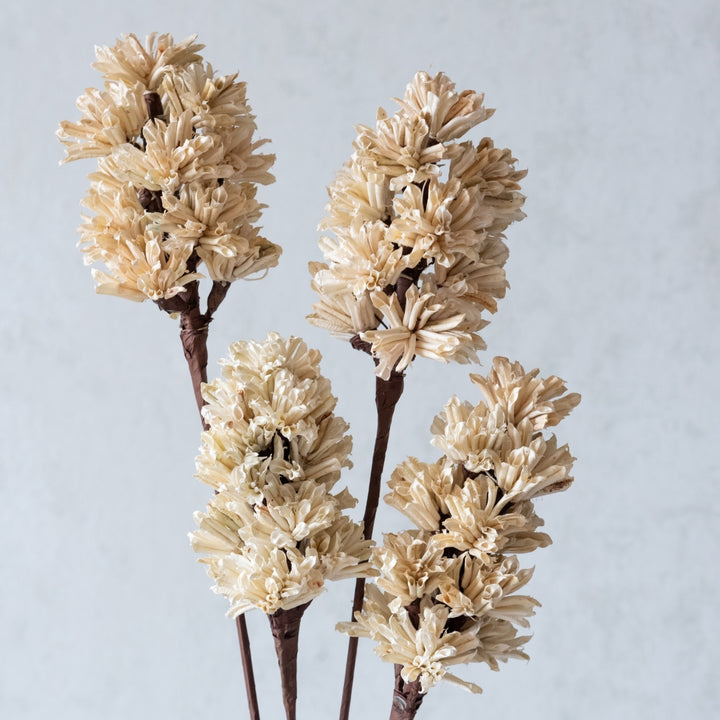 Handmade Beige Artichoke Dried Flower Bunch | Set Of 5