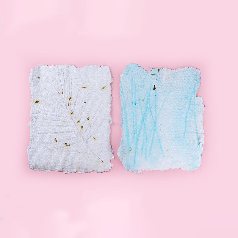 Handmade Paper Making DIY Kit Zwende