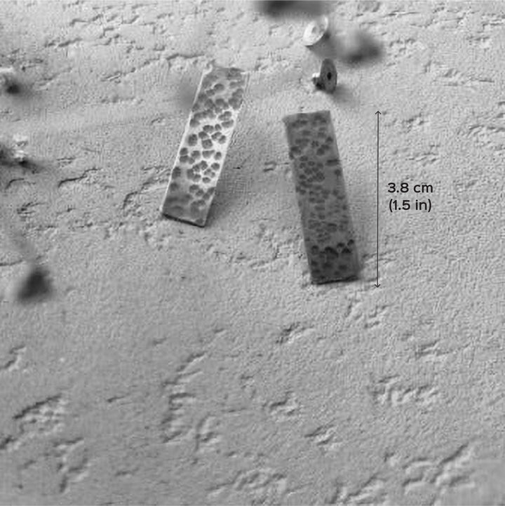 Minimal Brass Beaten Design Earrings