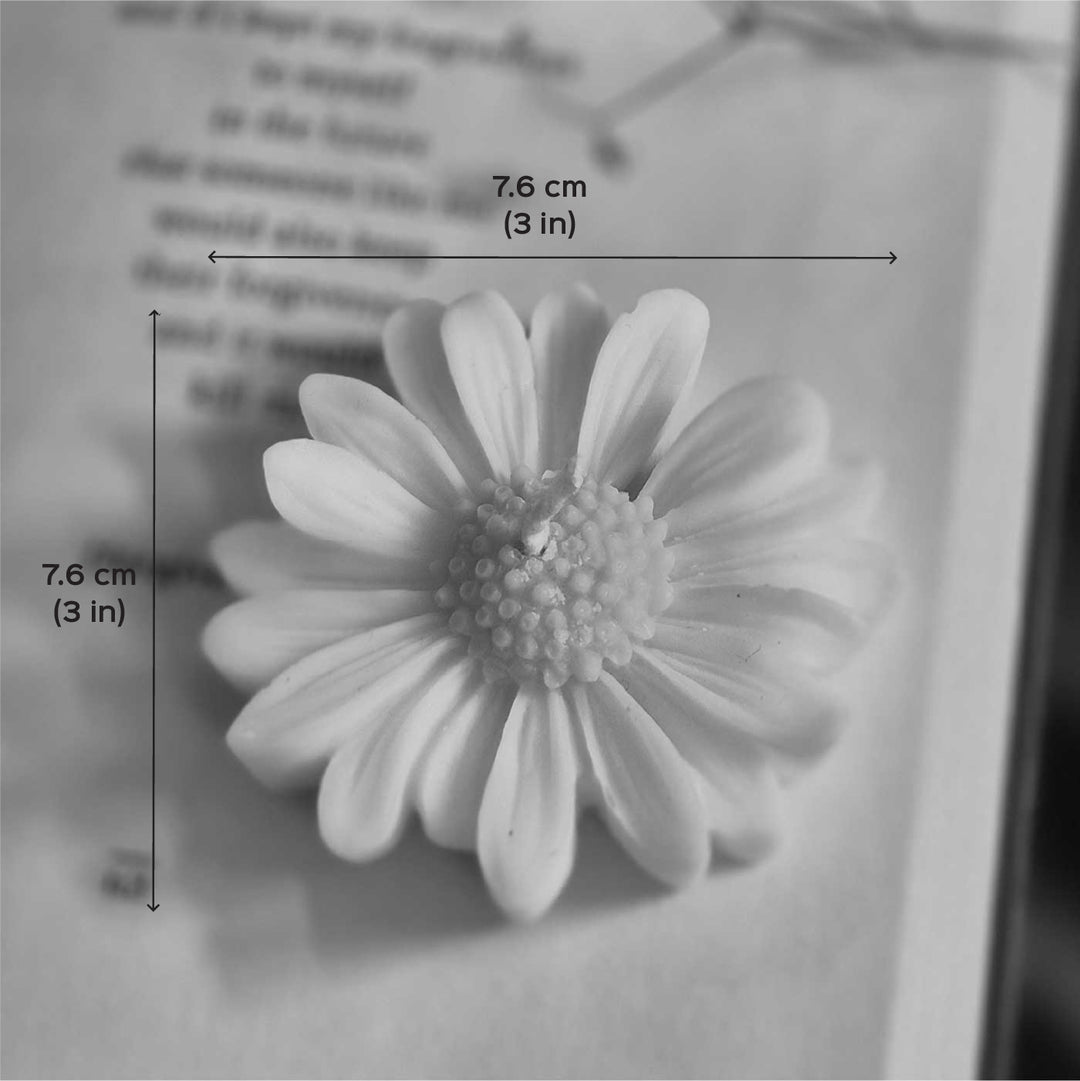 Set of 5 | Handmade Daisy Floating Soy Wax Scented Candle