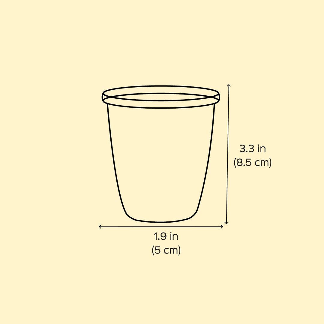 2Pc | Hand-Painted Black Birds & Flowers Kashmiri Art Stainless Steel Medium Glasses