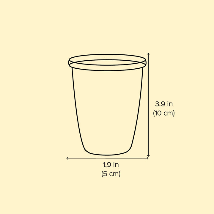 2Pc | Hand-Painted Orange & Blue Floral Kashmiri Art Stainless Steel Large Glasses