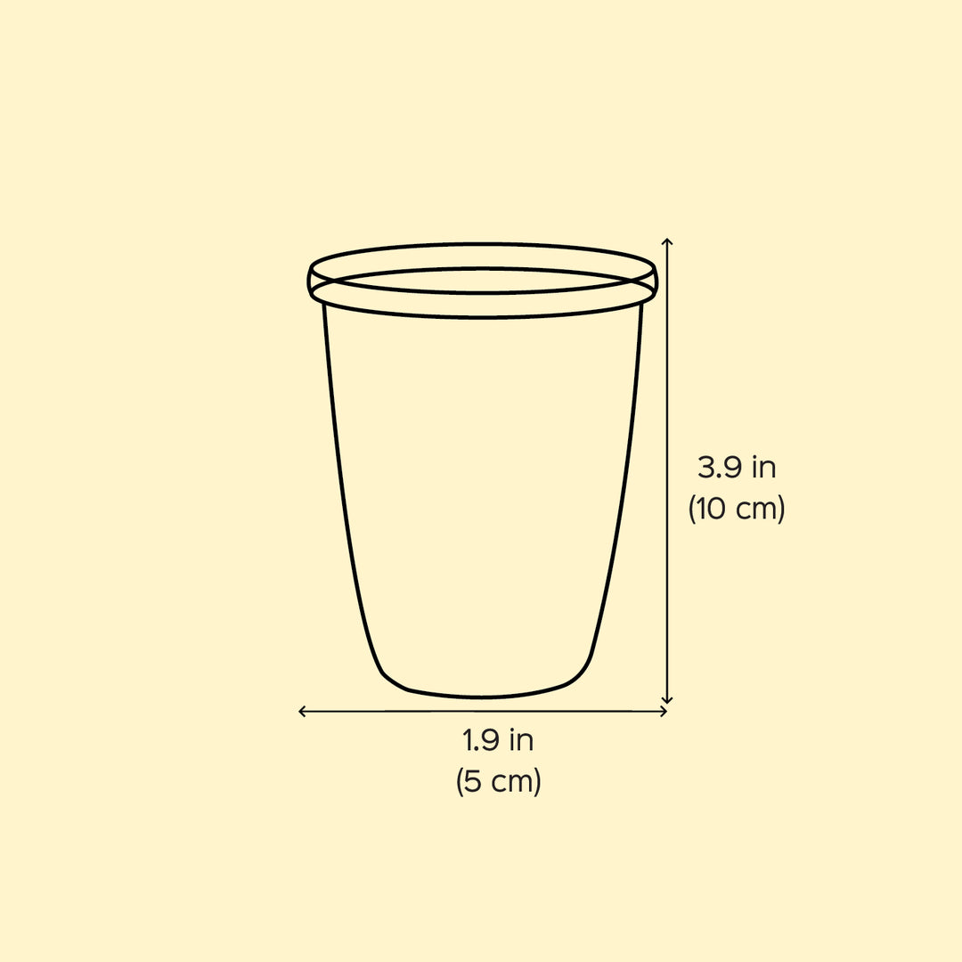 2Pc | Hand-Painted Floral Kashmiri Art Stainless Steel Large Glasses