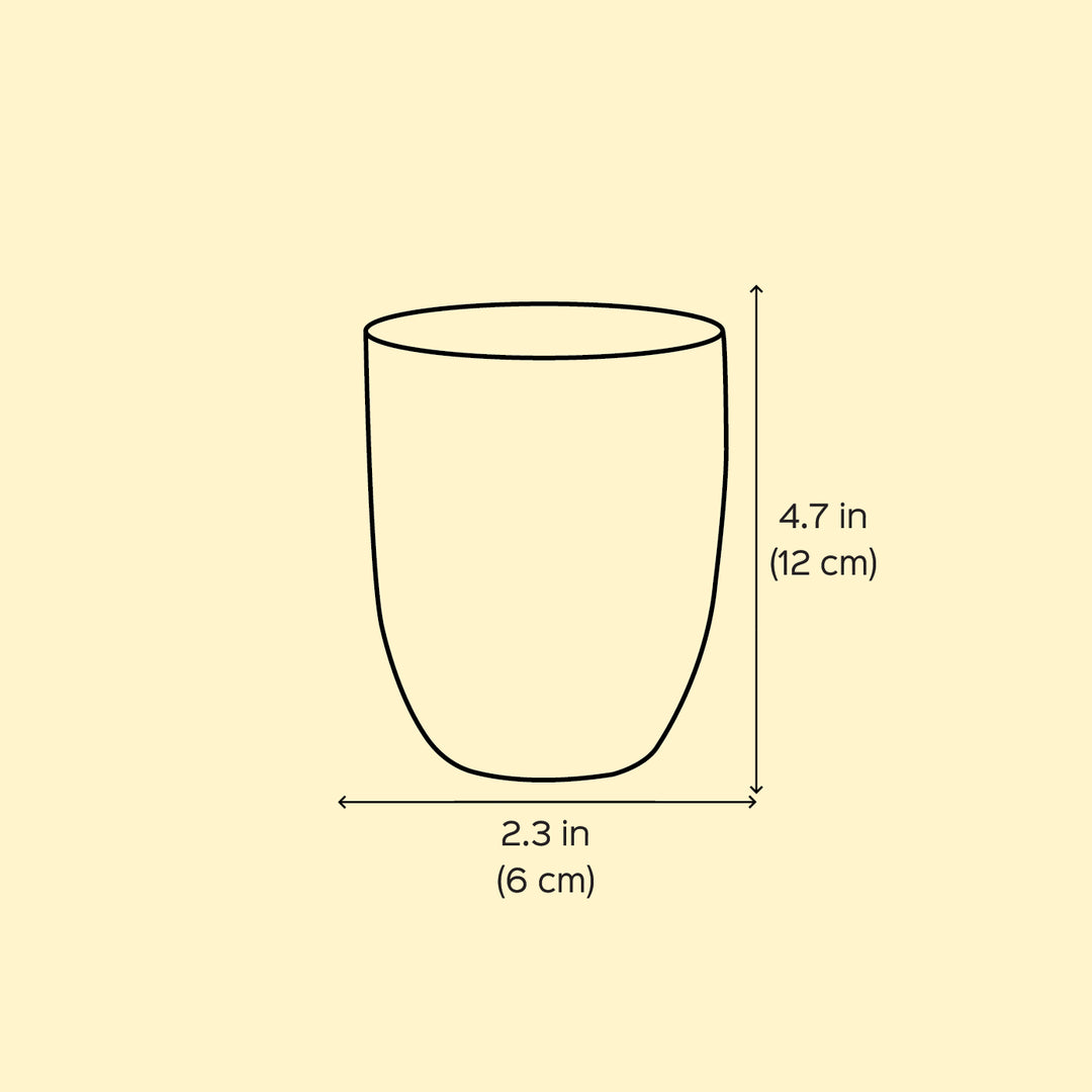 2Pc | Hand-Painted Black Floral Kashmiri Art Stainless Steel Large Round Glasses