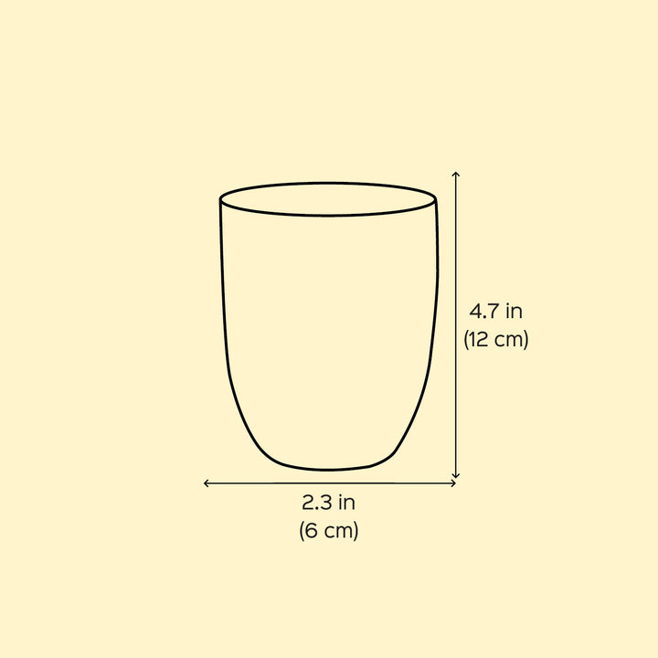 2Pc | Hand-Painted Black & Blue Floral Kashmiri Art Stainless Steel Large Round Glasses