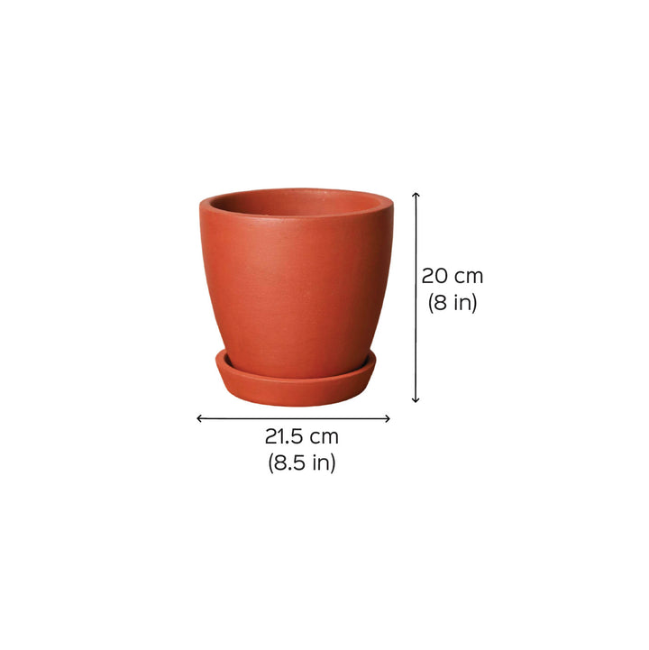 Handmade Large 8 Inch Hexane Planter Terracotta Planter Pot