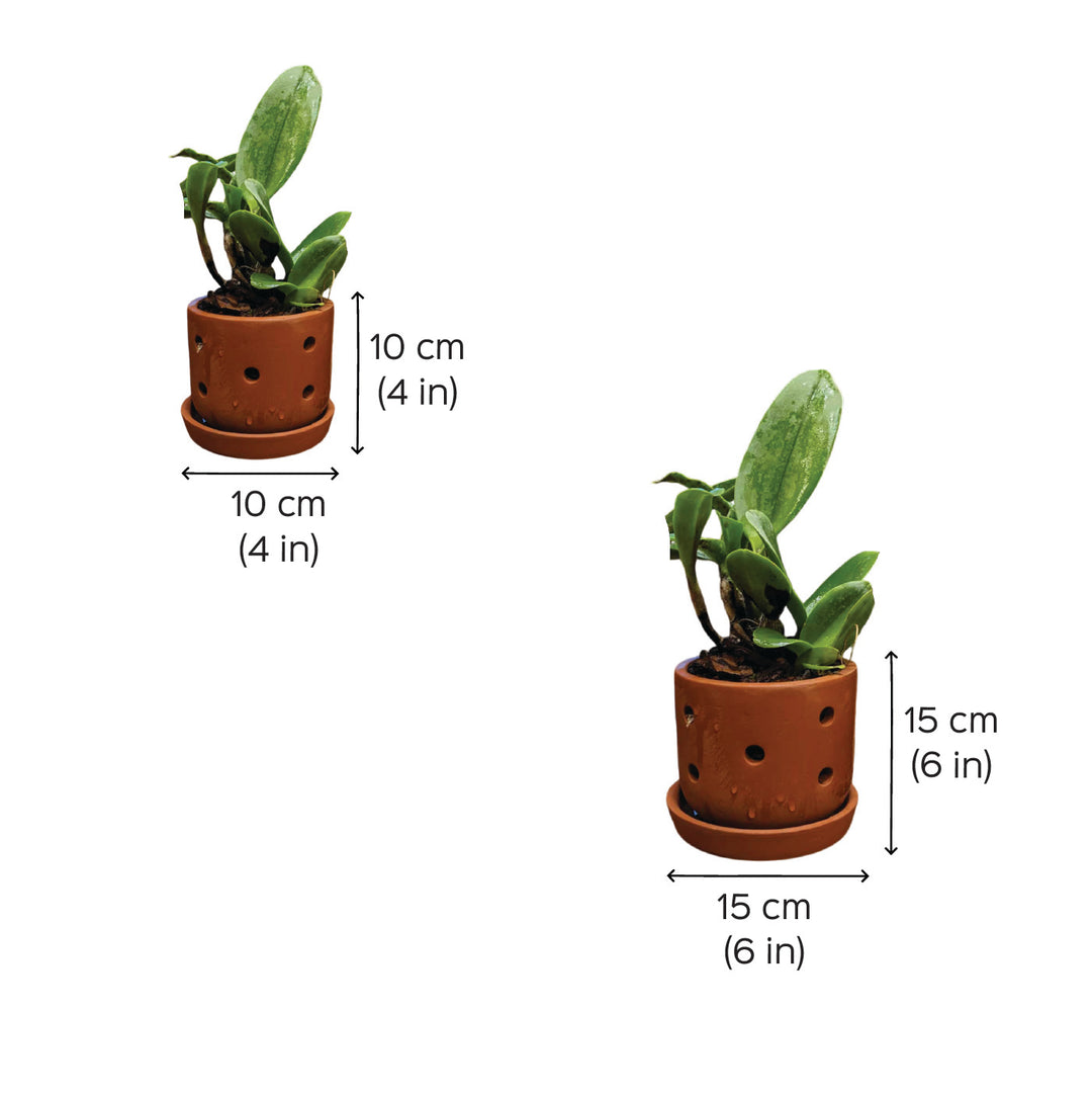 little plant pot Buy Handmade Small 4 Inch Orchid Planters Terracotta Planter Pot Online On Zwende