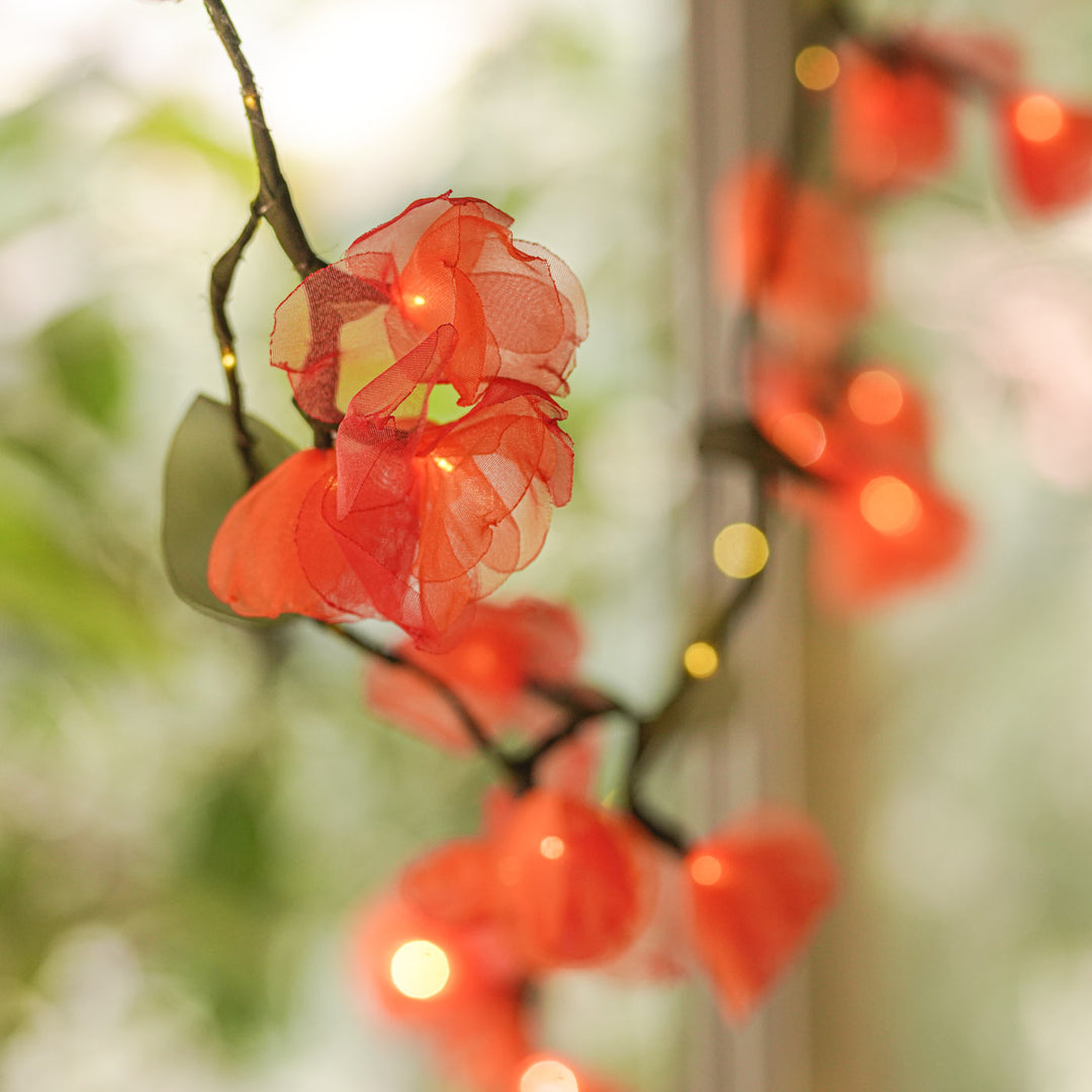 2.5m, 30 Bulbs | Handcrafted Tissue Flower LED Fairy Lights
