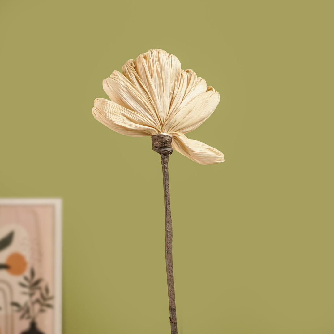 1 Pc | Handmade Eco-friendly Corn Husk Small Peacock Feather Stick