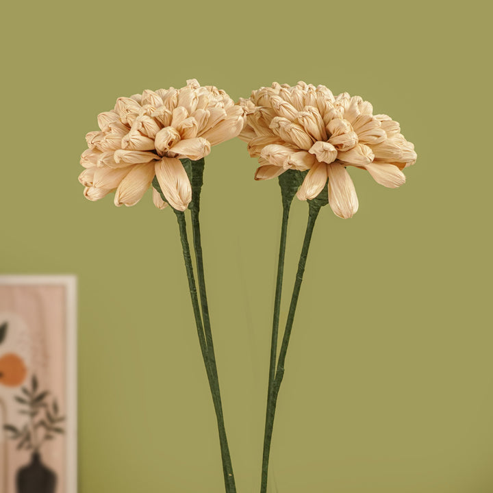 1 Pc | Handmade Daisy Bloom Corn Husk Flower Stick