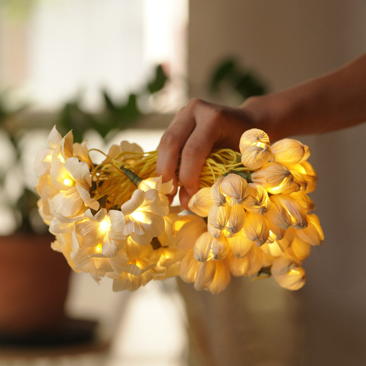 Buy Upcycled Corn Husk Handcrafted LED Fairy Light Online On Zwende